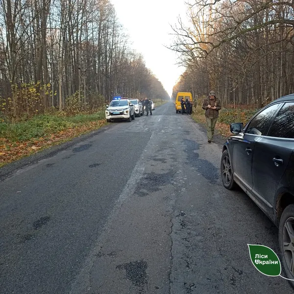 На Волині спіймали бус, набитий деревиною з Нацпарку (фото)