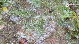 Град і злива: частину Луцька накрила негода (фото, відео)