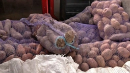 8 тонн картоплі: на Волині громада збирає продукти для місцевої лікарні (фото)