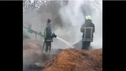 У Четвертні вогонь знищив два велосипеди, п'ять тонн сіна і дві тонни брикету (відео)