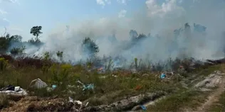 Палали купи сміття й чагарники: на Волині гасили пів гектара пожежі (фото)