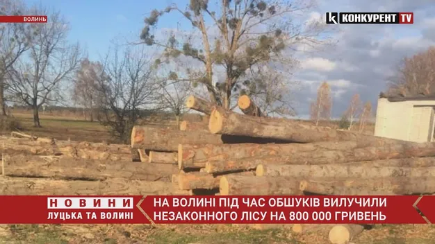 Волинські правоохоронці виявили незаконний деревообробний цех (фото, відео)