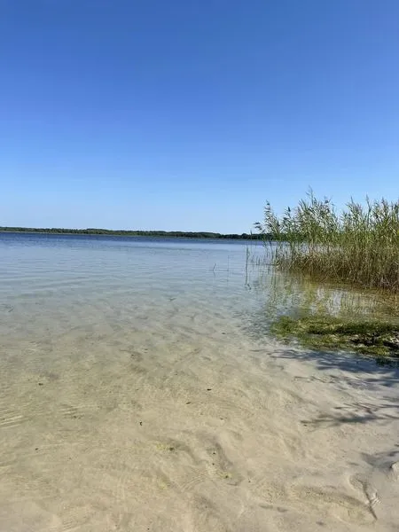 Піщаний берег і прозора, як сльоза, вода: на Волині є озеро, дно якого вкрите унікальним добривом (фото)