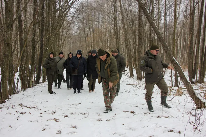 На Волині порахували зубрів і зубренят (фото)