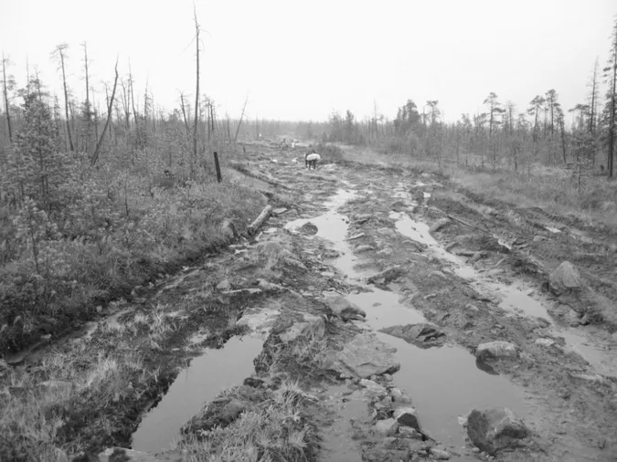 Зійшов сніг – зникла дорога: на Волині село потопає у багні 