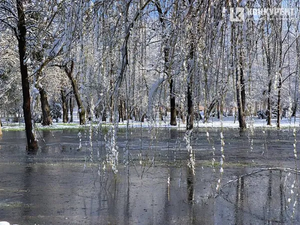 Вона чекає на вас морозного ранку у Луцькому парку (фото)