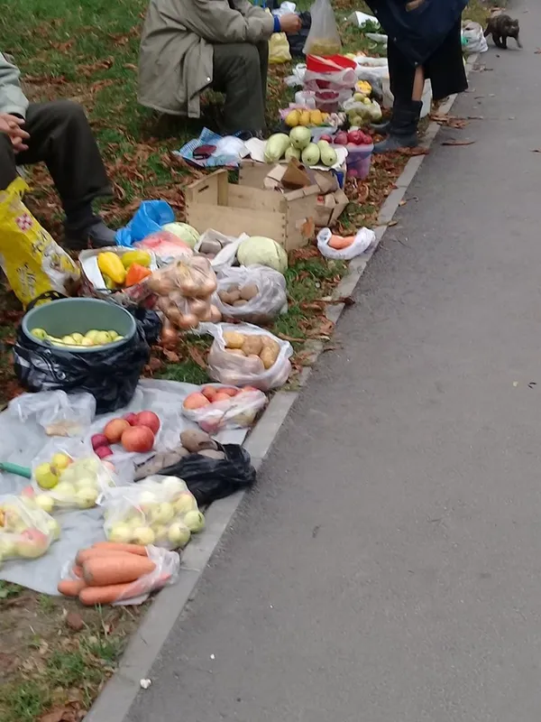 Про «домашні» яблука і овочі без хімікатів (фото)