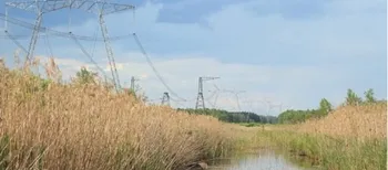 На історичній Волині причаїлося Чортове болото, що ховало повстанців УПА
