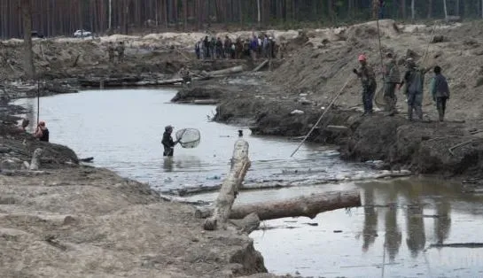 Сказали, хто може очолити «Волиньприродресурс»