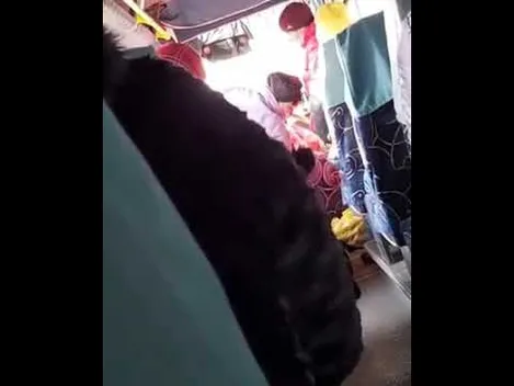 «Квиток є? То якого х*ра сидите?»: у ковельському автобусі – черговий скандал (відео)