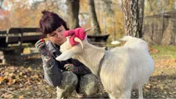 Як Луцький зоопарк готується до зими (фото, відео)