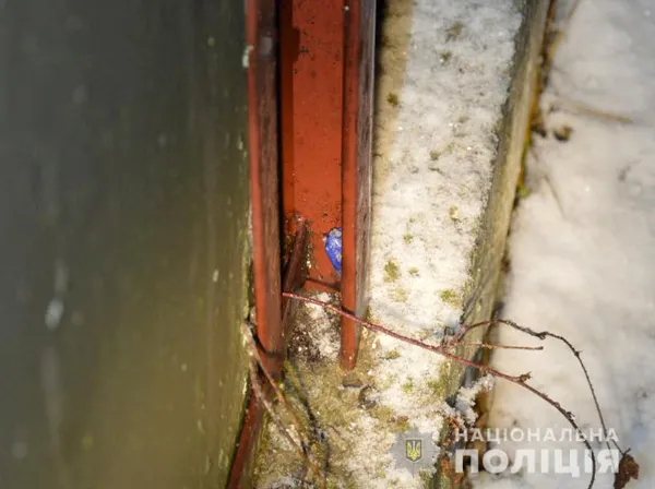 На Волині «накрили» канал збуту наркотиків через Інтернет (фото)