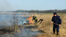 На Волині за минулу добу погасили 20 пожеж (фото)