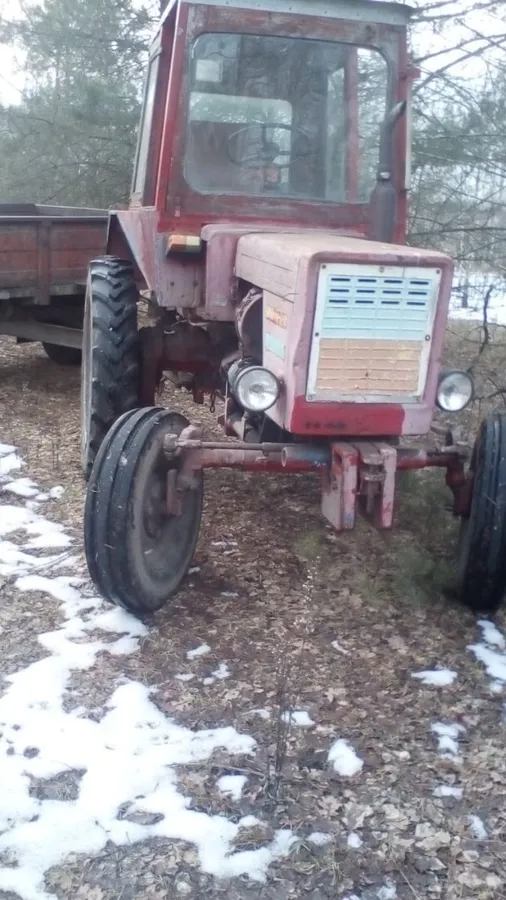 На кордоні з Білоруссю затримали лісорубів
