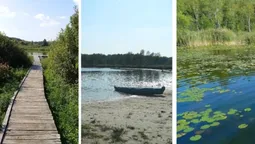 Маловідомі перлини Волині: три озера, які здивують навіть місцевих (фото)