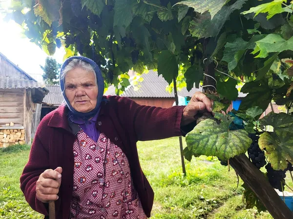 «Вийшла до сусідки і це врятувало життя»: на Ковельщині дрон впав біля хати 78-річної бабусі воїна (фото)