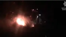 Горів сухостій: на Волині патрульні приборкали вогонь уздовж дороги (відео)