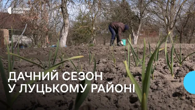 На дачних масивах Луцького району стартували весняні роботи (фото, відео)