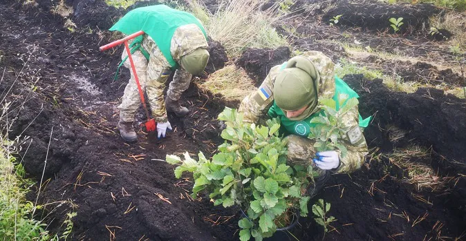Волинські прикордонники висадили понад сім тисяч молодих дерев (фото)