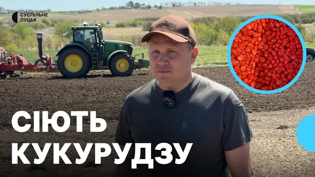 Посівна ярих на Волині: з 65 тисяч гектарів кукурудзи засіяли понад 50% (фото, відео)