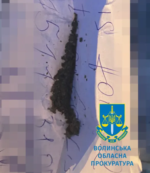 Затриманих у Луцьку наркобариг відправили під домашній арешт
