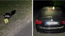 Не встиг загальмувати: у Турійську авто збило чоловіка (фото)