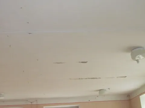 У Луцьку через дірявий дах у дитячому садочку утворився грибок