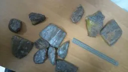 На "Ягодині" в іномарці знайшли бурштин (фото, відео)