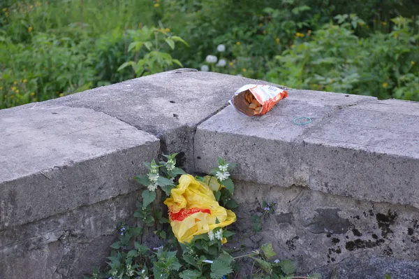 Як прибирають за собою лучани після відпочинку на природі (фоторепортаж)