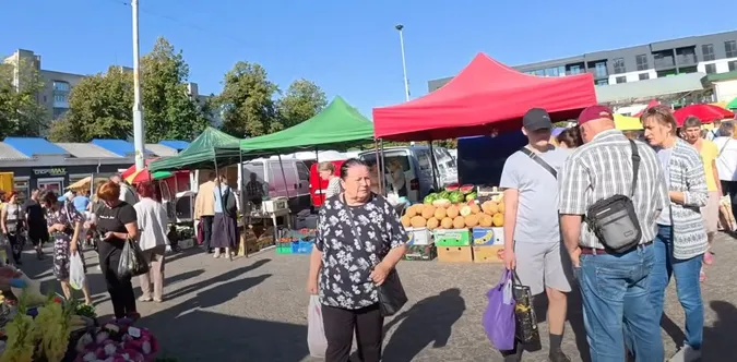 На ринку у Луцьку продають особливий сорт корисної фіолетової картоплі (фото, відео)