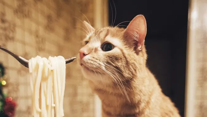 Головне у Луцьку: ТОП новин вівторка, 23 серпня