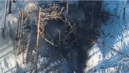 Волинські тероборонівці запустили «пташку» в бліндаж російських аеророзвідників у Серебрянському лісі (відео)