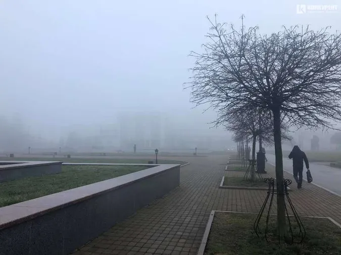 Обережно на дорогах: волинян попереджають про густий туман