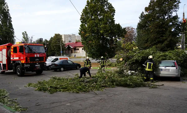 Луцькі рятувальники визволяли машини, на які впало дерево (фото)