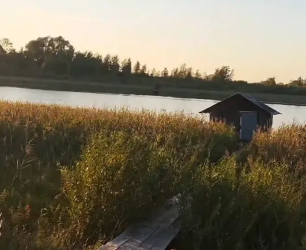 Глибоке, але чисте і прозоре: на Волині є озеро у формі людського органа, в якому добре клює риба (фото, відео)