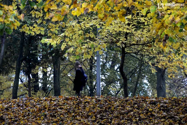 Лячно, кольорово, тихо: осінь у парку 900-річчя Луцька (ФОТО)