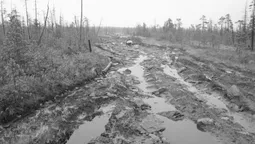 Зійшов сніг – зникла дорога: на Волині село потопає у багні 