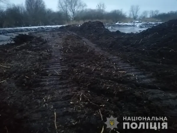 На Волині селяни крали родючий ґрунт, аби вирощувати лохину (фото)