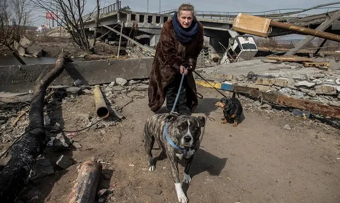 Як вигулювати собаку під час війни: правила безпеки