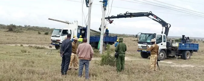 Убило струмом низьких електроліній: у Кенії загинули рідкісні жирафи