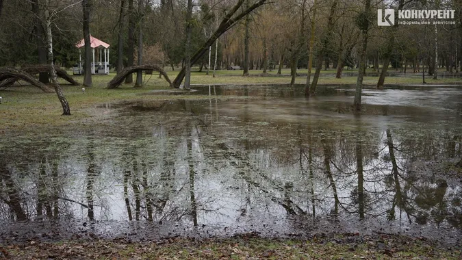 Мокрий луцький парк, або Як алеї тонуть у воді (фото)