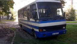 «Майстер-клас зі знищення газонів»: у Луцьку оштрафували власника автобуса (фото)