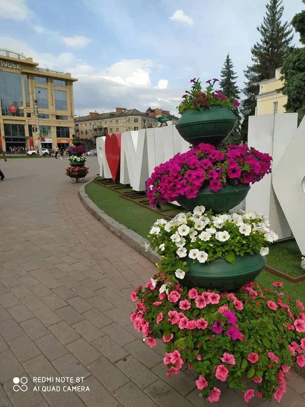 Собор, вулиці, зоопарк: показали, як квітне Луцьк (фото)