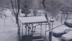 На Волині знову засніжило (фото)