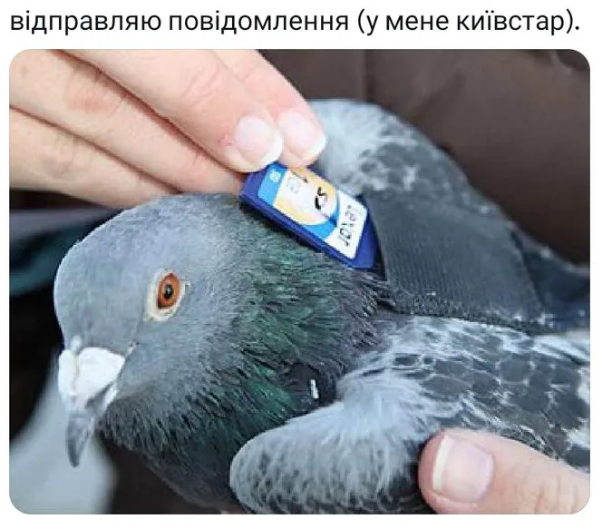 Не втратимо зв'язок: меми про Київстар