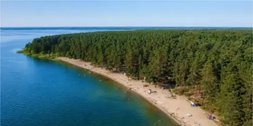 Де найкраще купатися на Волині: 10 озер із чистою водою, піщаними пляжами та неймовірними краєвидами