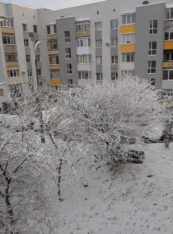 З першим снігом: лучани тішаться зимовому ранку (фото)