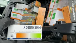 Розпихав усюди: волинські митники знайшли партію ліків в кабіні тягача (фото, відео)