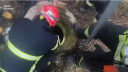 Біля Луцька з 5-метрового колодязя витягнули чоловіка (відео)