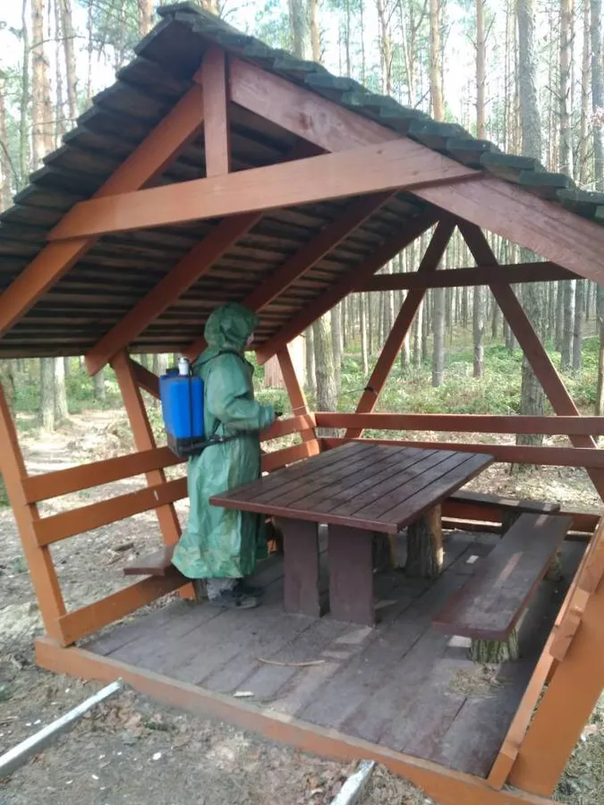 У волинських лісах дезінфікують зони відпочинку (фото)